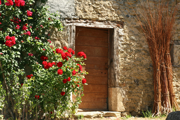 Des rosiers rouges très fleuris sont du plus bel effet devant cette maison en pierre .